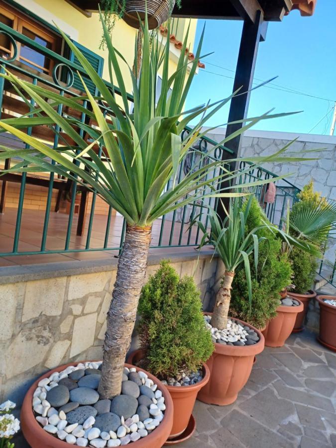 Vila House Near Cr7 Museum Funchal  Exteriér fotografie